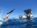 Denis Island upplevelser: Boat-Diving-Fins-small