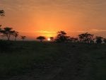 Dag 3: Naboisho sundown