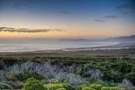 Dag 5. : grootbos_beauty1