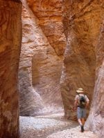 Vandring i öken : Activity-hiking-in-Wadi-Gweir-near-Feynan-6-