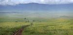 Highlands camp, Ngorongorokrateren, Tanzania