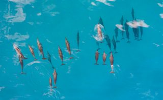 Highly bespoke luxury travel