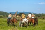 Dag 8. : Ridsafari Tanzania vilda djur